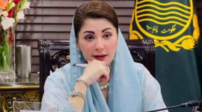 عوام بھوکی مر رہی ہے اور انہیں جیلوں کے باہر دھرنوں سے فرصت  نہیں، مریم نواز 