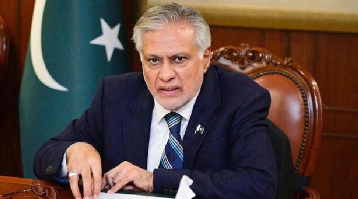 بھارت کے آبی اقدامات سے پاکستانی کی غذائی سکیورٹی کو خطرہ ہے: وزیر خارجہ