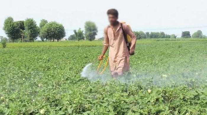 زرعی ادویات کی مارکیٹ میں سنگین خامیوں کی نشاندہی