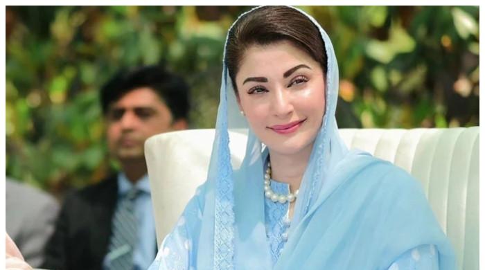 لینڈ پروٹیکشن قانون کی معطلی کو عوام قبضہ مافیا کی پشت پناہی سمجھیں گے: مریم نواز