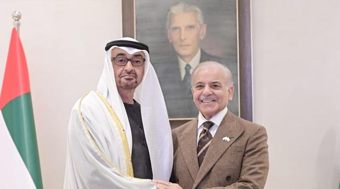یو اے ای کے صدر محمد بن زاید النہیان کی وزیر اعظم شہباز شریف سے ملاقات، دونوں ممالک کے درمیان تعاون بڑھانے پر تبادلہ خیال