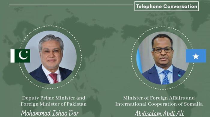 صومالی لینڈ کا معاملہ: اسحاق ڈار کو صومالیہ کے وزیر خارجہ کا فون، سلامتی کونسل میں تعاون کی درخواست کردی