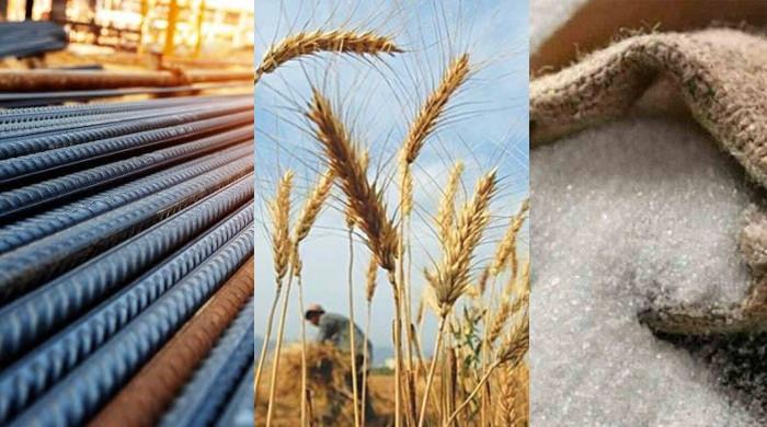 مسابقتی کمیشن کی شوگر ملز،  اسٹیل، پولٹری اور تعلیم سمیت اہم شعبوں میں سخت کارروائیاں