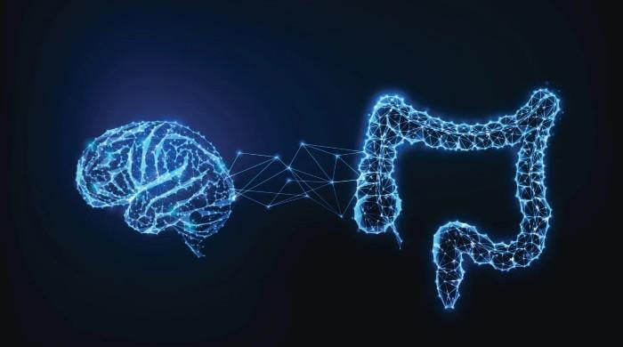 معدے اور ذہانت کے درمیان حیران کن تعلق دریافت