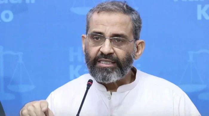 کراچی میں کتے کے کاٹنے اور گٹر میں گرکر ہونیوالی اموات کے ذمہ دار میئر ہیں، منعم ظفر