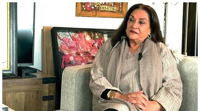 ساس بہو کے ڈراموں پر زیادہ تر مرد تنقید کرتے ہیں: ثمینہ احمد