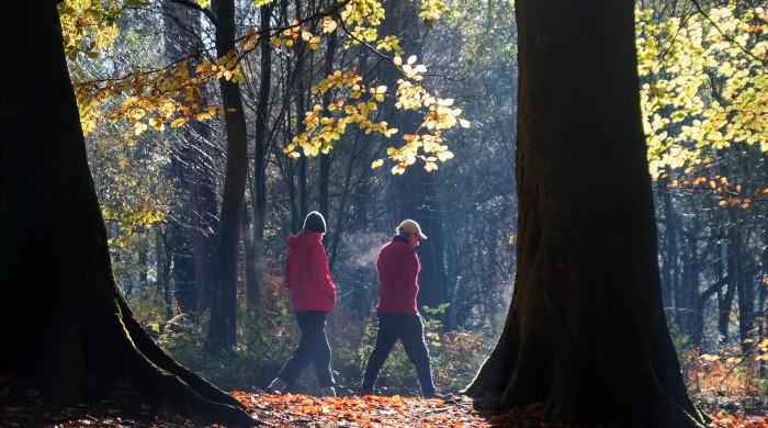 وہ عام اور آسان عادات جن سے بیماریوں سے پاک لمبی عمر کا حصول ممکن
