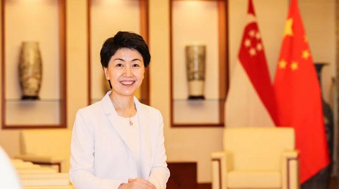 چین کی ترقی  پاکستان کی ترقی ہے، پہلے مرحلےکی کامیابی کے بعد سی پیک کا دوسرامرحلہ  شروع کر رہے ہیں: چینی نائب وزیر