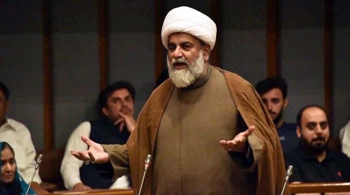 پی ٹی آئی کے حمایت یافتہ راجہ ناصر عباس سینیٹ میں اپوزیشن لیڈر مقرر، نوٹیفکیشن جاری