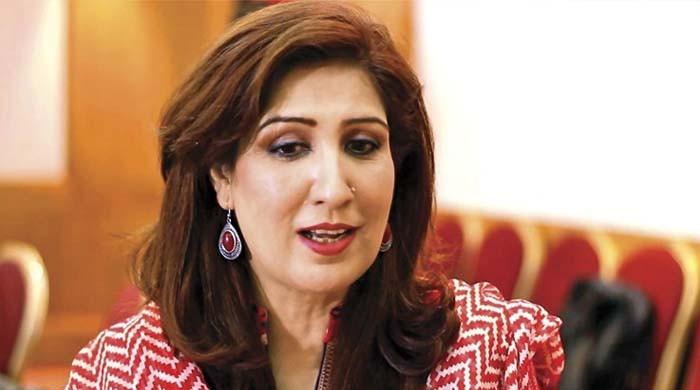 نیوزی لینڈ میں آگ لگی تو 40 لوگ ہلاک ہوئے، یہ آگ ہے، ہوجاتا ہے: شہلا رضا 