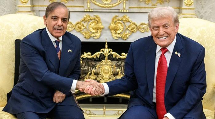 پاکستان نےغزہ میں پائیدار امن کےلیے ’بورڈ آف پیس‘ میں شمولیت کی دعوت قبول کرلی