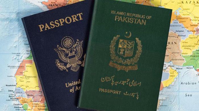 قومی اسمبلی کی قائمہ کمیٹی اجلاس میں اکثریتی ارکان نے سرکاری افسران کی دہری شہریت کیخلاف  ووٹ دیدیا