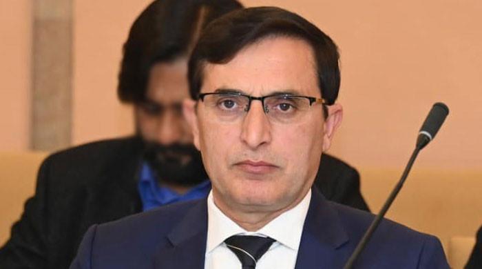 محمود اچکزئی اور علامہ راجہ ناصر فیصلہ کرینگےکس کے ساتھ اورکب مذاکرات کرنا ہیں: بیرسٹرگوہر 