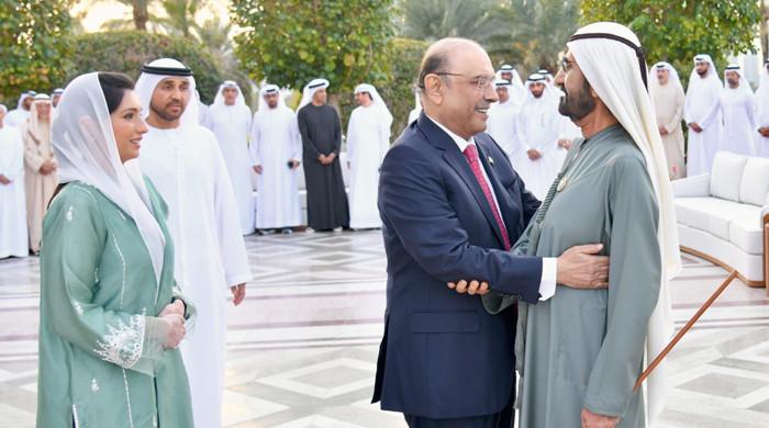 صدر زرداری کی اماراتی نائب صدر سے ملاقات: تجارت، سرمایہ کاری اور معاشی تعاون بڑھانے پر بات چیت