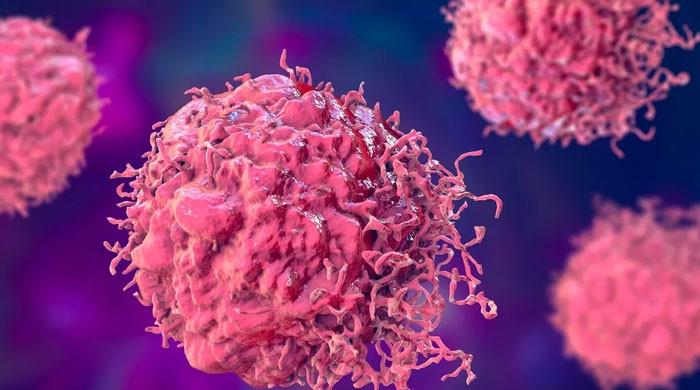 لوگوں کو کینسر جیسے مرض کا شکار بنانے والی 10 عام وجوہات