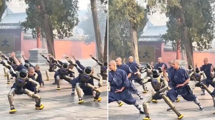 انسانوں کی طرح کنگفو کی مشق کرنے والے حیرت انگیز روبوٹ