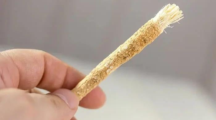 کیا روزے کی حالت میں مسواک استعمال کرسکتے ہیں؟