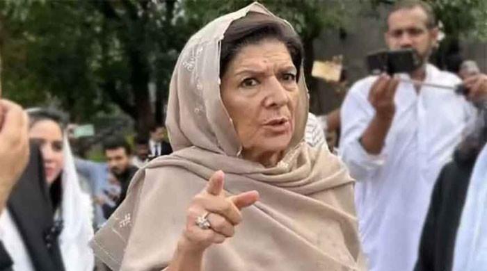 اچھی طرح جانتے ہیں غدارکون ہے؟ رہنما بغیر بتائے فیصلےکر رہے ہیں، علیمہ خان پارٹی قیادت پر برس پڑیں