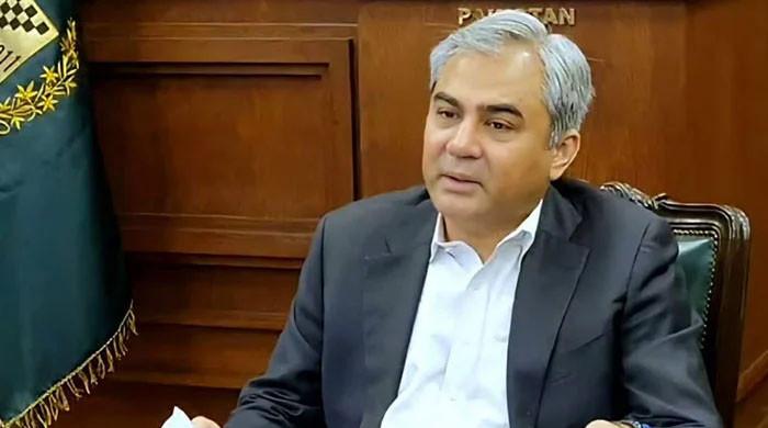 ہنر مند اور  غیر ہنرمند افرادی قوت یورپی ممالک بھیجنےکیلئے تیار ہیں: محسن نقوی