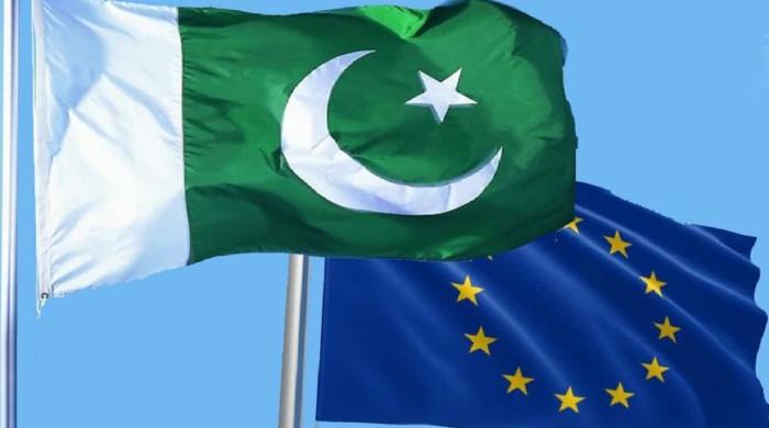 اٹلی کے بعد 5 دیگر یورپی ممالک کا پاکستانیوں کو نوکریاں دینے کا فیصلہ