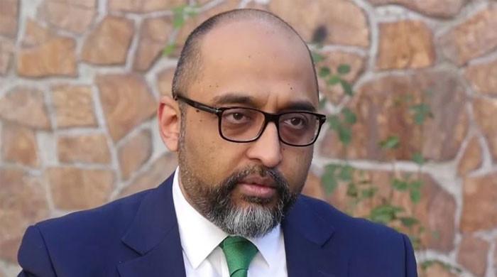 طالبان نے افغانستان میں دہشتگردوں کو محفوظ پناہ گاہیں فراہم کر رکھی ہیں: مشرف زیدی