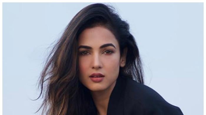 ایران اسرائیل جنگ: بھارتی اداکارہ دبئی ائیرپورٹ پر پھنس گئیں، حکومت سے مدد کی اپیل