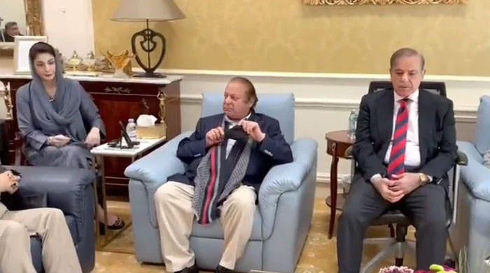 وزیر اعظم کی نواز شریف سے ملاقات، پیٹرولیم مصنوعات کی قیمتوں، طلب اوررسد پر گفتگو