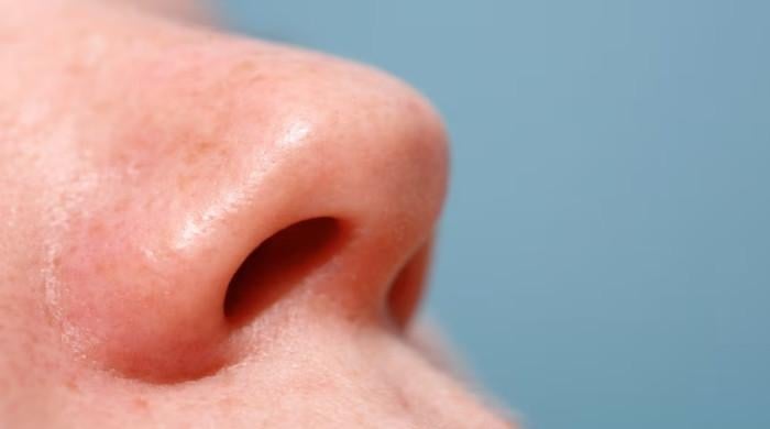 ہم صرف ایک نتھنے سے ہی سانس کیوں لیتے ہیں؟ اس اسرار کا راز جانیں