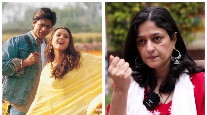 'ویر زارا میں کام کرنیکی پیشکش ہوئی تھی'، نادیہ جمیل کا انکشاف