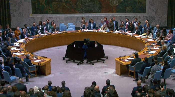 امریکا نے سلامتی کونسل میں روس کی جنگ بندی کی قرارداد ویٹو کردی