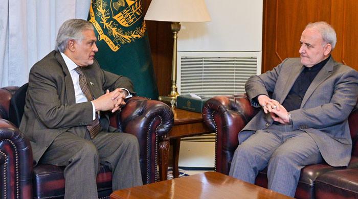 اسحاق ڈار سے ملاقات، ایرانی سفیر نے مشکل وقت میں پاکستانی عوام کیجانب سے ایران کی حمایت پر شکریہ ادا کیا