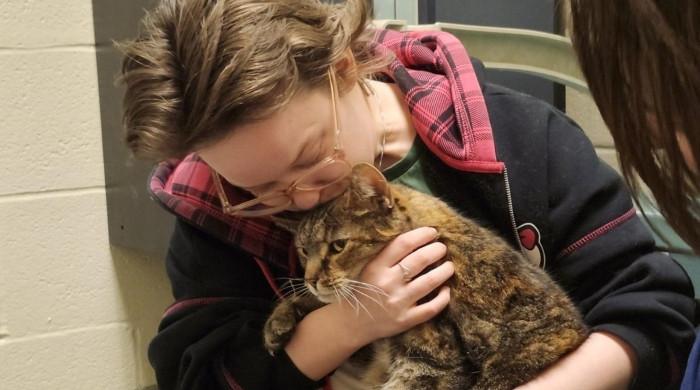 گمشدہ بلی 5 سال بعد اپنے مالکان سے ملنے میں کامیاب