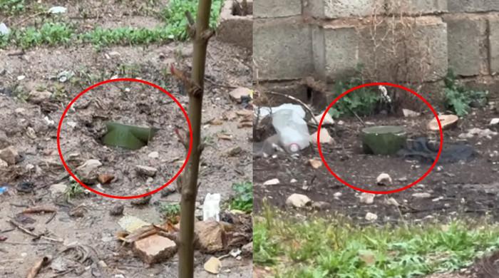 امریکی افواج نے مبینہ طورپر  ایران کے شہری علاقوں میں بارودی سرنگیں گرائیں: امریکی اخبار