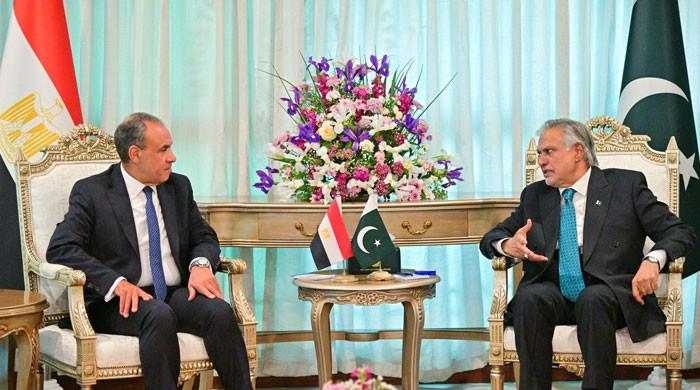 مشرق وسطیٰ کشیدگی: مصری وزیر خارجہ کی اسحاق ڈار سے ملاقات، خطے کی صورتحال پر گفتگو