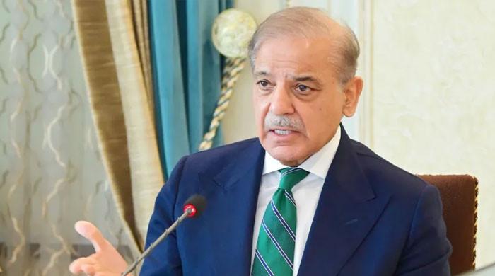 حکومتی فیصلوں کی بدولت ملک میں پیٹرولیم مصنوعات کی مناسب مقدار موجود ہے: وزیراعظم