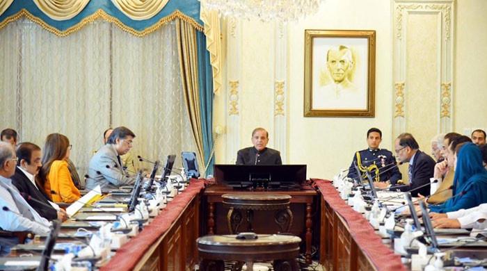 وفاقی وزراء، وزرائے مملکت،مشیروں اور معاونین خصوصی نے رواں سال کتنی تنخواہ لی؟