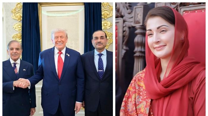 تاریخ عالم میں جب بھی اس جنگ کا ذکر ہوگا ہر جگہ ’پاکستان‘ ہی لکھا جائے گا: مریم نواز