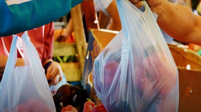 پنجاب حکومت کا پلاسٹک تھیلے استعمال کرنے پر کارروائی کا فیصلہ