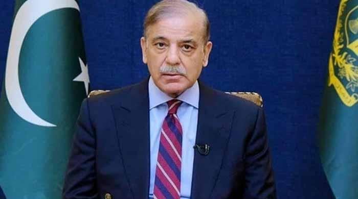 لبنان کی خودمختاری کی حمایت جاری رکھیں گے، وہاں جنگ بندی صدر ٹرمپ کا جرات مندانہ اقدام ہے: وزیراعظم