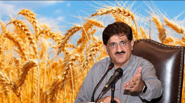 وزیراعلیٰ سندھ مراد علی شاہ کا گندم فروخت کی حد ختم کرنے کا فیصلہ