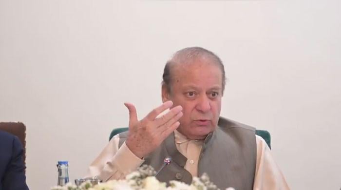 شہباز کی قیادت، ڈار کی معاونت اور فیلڈ مارشل کے تاریخی کردار سے سبز پاسپورٹ کی عزت بحال ہو رہی ہے: نواز شریف