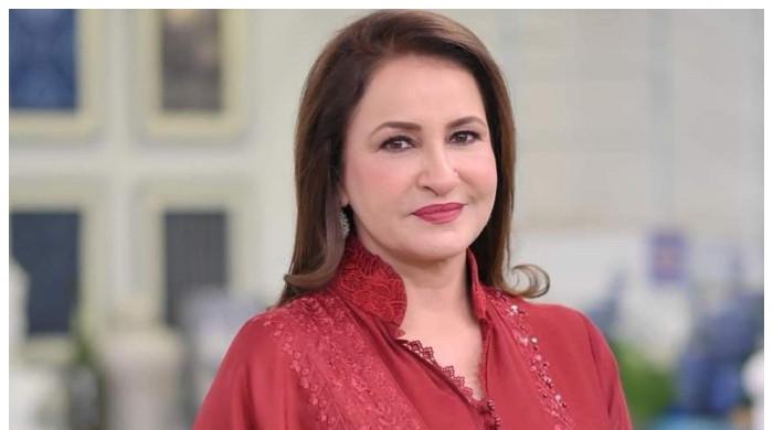 صبا فیصل کا شوہروں کے غیرازدواجی تعلقات پر بیان، سینئر اداکارہ ایک بار پھر سخت تنقید کی زد میں