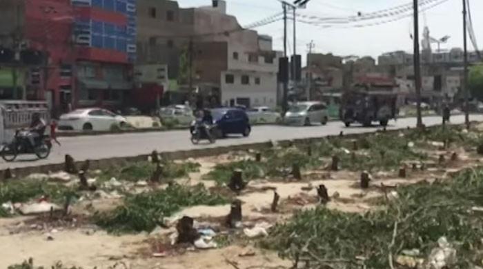کراچی کا سبز احاطہ 2 فیصد سے بھی کم رہ گیا