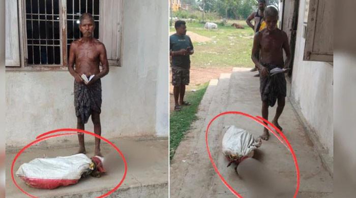 رقم نکلوانے کا معاملہ: بہن کی موت کا ثبوت دینے کیلئے بھائی قبر سے ڈھانچہ لیکر بینک پہنچ گیا