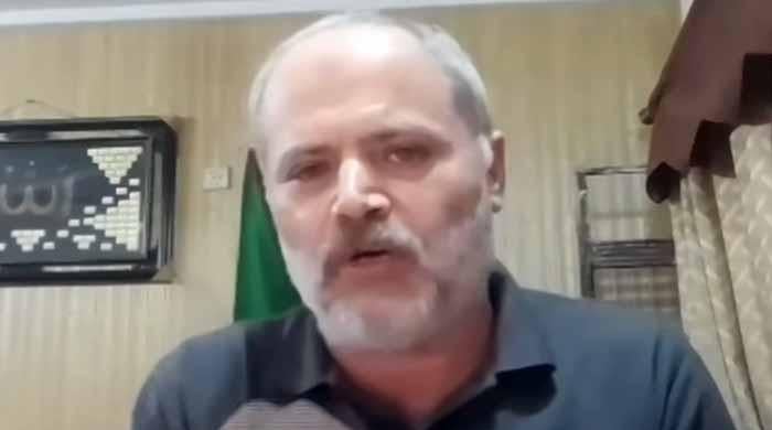 پاکستان اس وقت امت مسلمہ کا لیڈر بن چکا ہے: فلسطینی صحافی