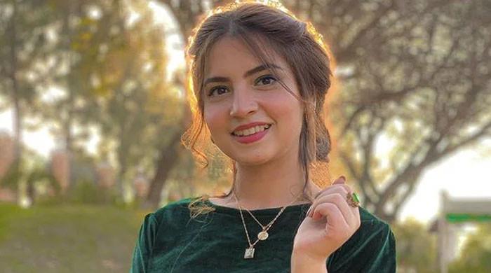 محبت کیلئے اپنے کیرئیر پر کبھی سمجھوتہ نہیں کروں گی: دنانیر مبین