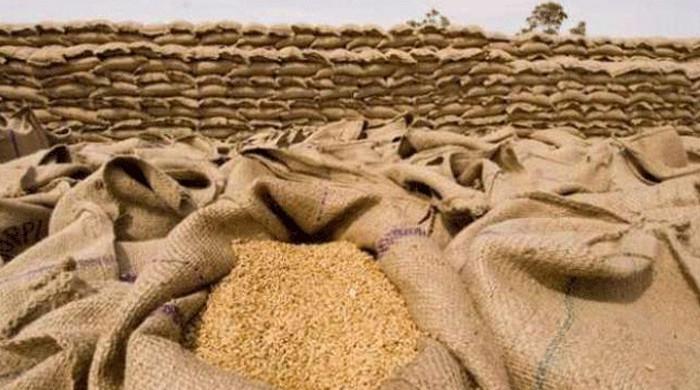 خیبرپختونخوا حکومت کا زمینداروں سے 2 لاکھ 25 ہزار ٹن گندم خریدنے کا اعلان
