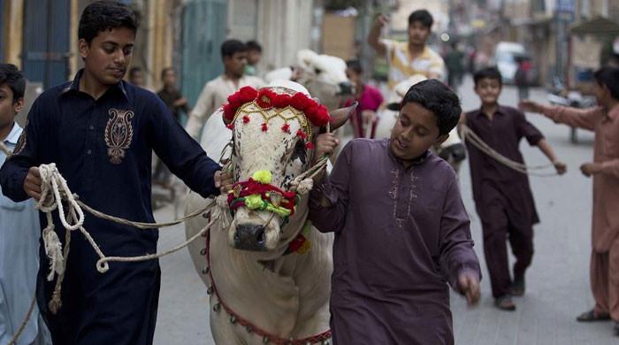 وفاقی حکومت نے عیدالاضحیٰ کی تعطیلات کا اعلان کردیا