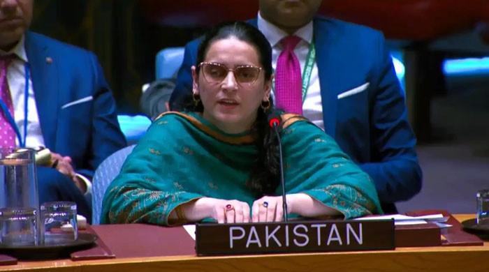  بھارت دہشتگردی برآمد کرتا ہے، وہاں مسلمانوں سمیت اقلیتوں پر ظلم معمول ہے: صائمہ سلیم