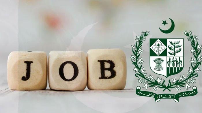 آئندہ مالی سال 20 لاکھ ملازمتیں پیدا کرنے کا ہدف مقرر